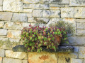 Stone House Vita sa slanim bazenom, Glavani Istra Barban